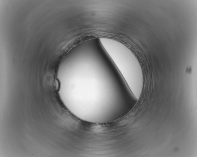 X0000092080616200709121107