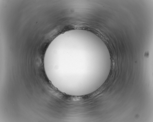 X0000092080618200709121107
