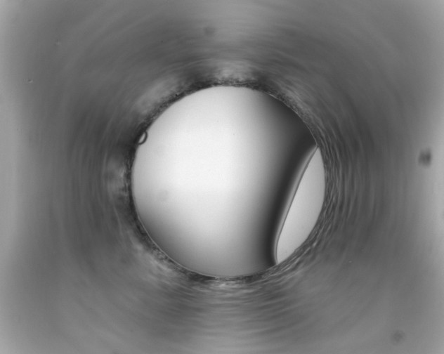 X0000092080619200709121107
