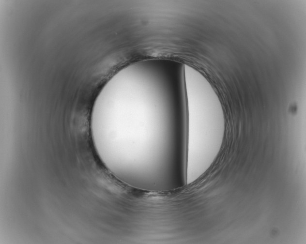 X0000092080620200709121107