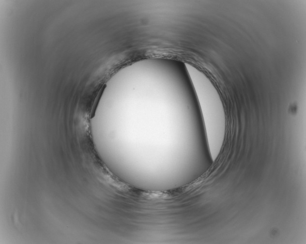 X0000092080621200709121107
