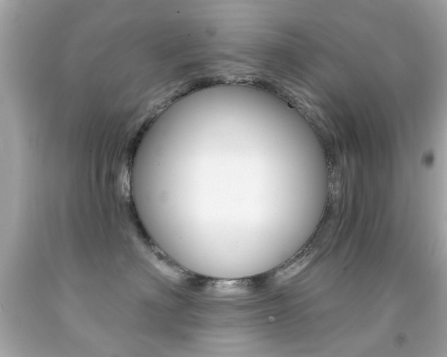 X0000092080622200709121107