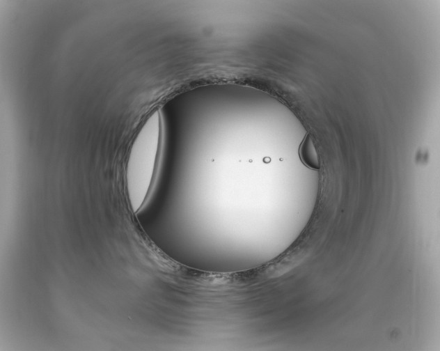 X0000092080624200709121107