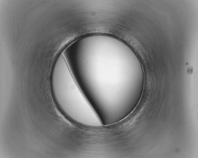 X0000092080625200709121106