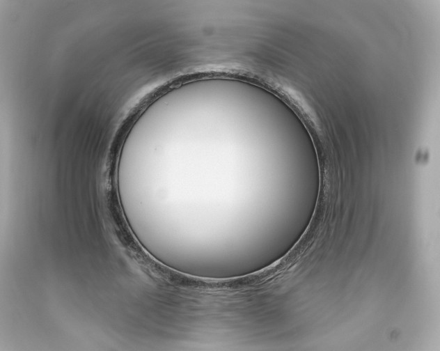 X0000092080628200709121106