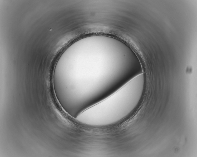 X0000092080629200709121106