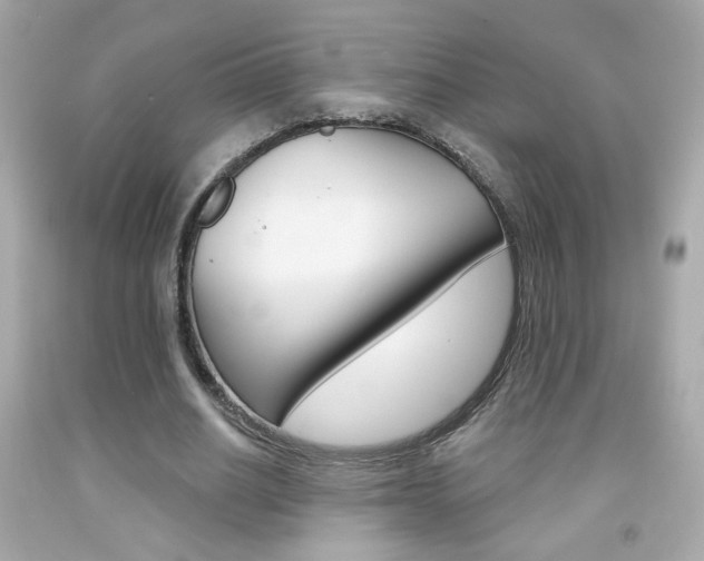 X0000092080630200709121106