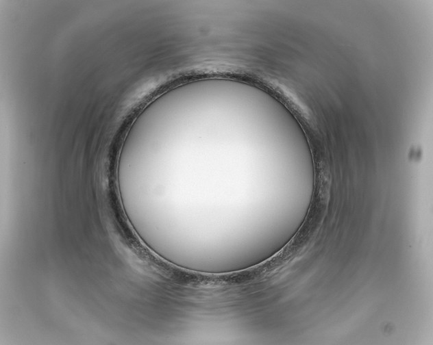 X0000092080631200709121106