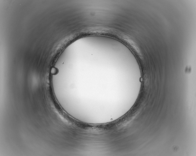 X0000092080633200709121106