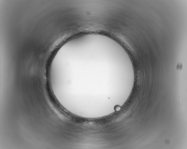 X0000092080634200709121106