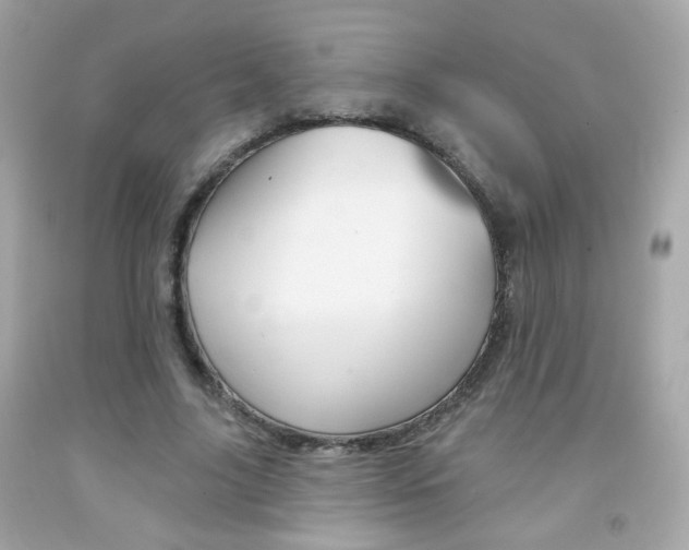 X0000092080635200709121106