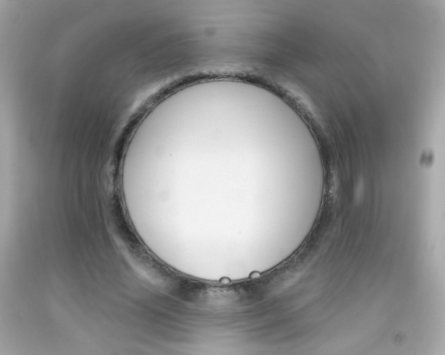 X0000092080636200709121106