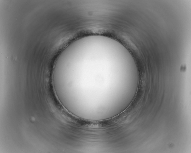 X0000092080639200709121106