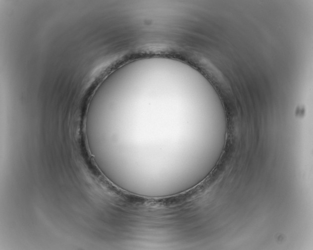 X0000092080640200709121106