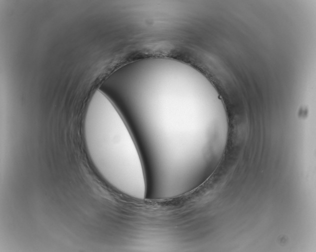 X0000092080641200709121106