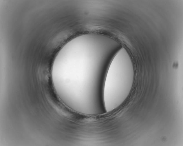 X0000092080644200709121107