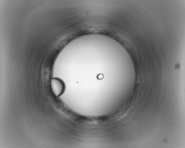 X0000092080646200709121107