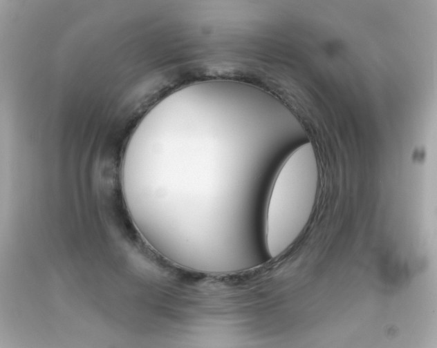 X0000092080648200709121107