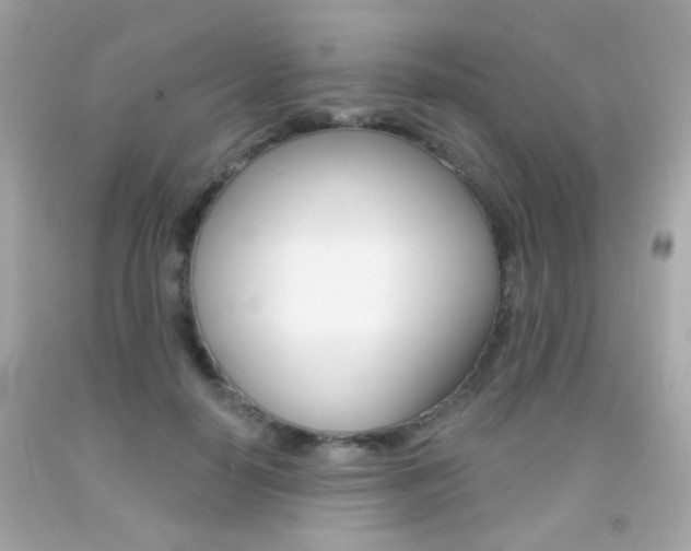 X0000092080650200709121107