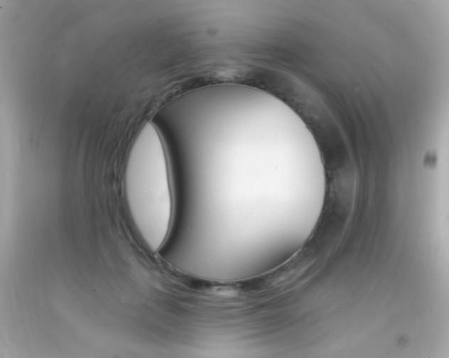 X0000092080651200709121107