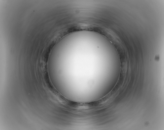 X0000092080653200709121107