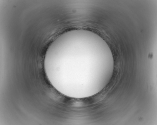 X0000092080658200709121107