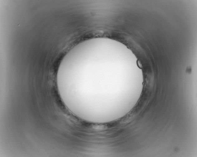 X0000092080659200709121107