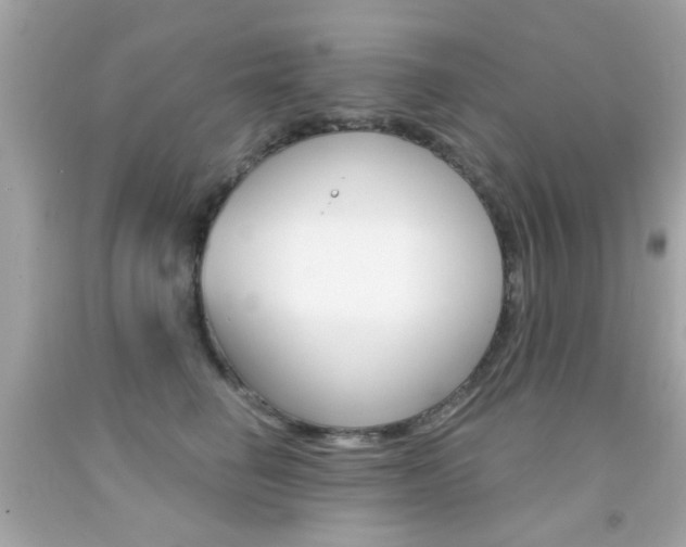 X0000092080662200709121107