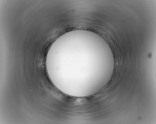 X0000092080663200709121107