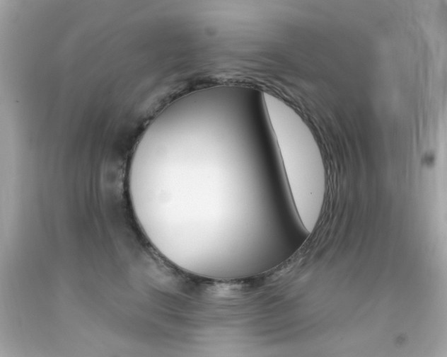X0000092080664200709121107