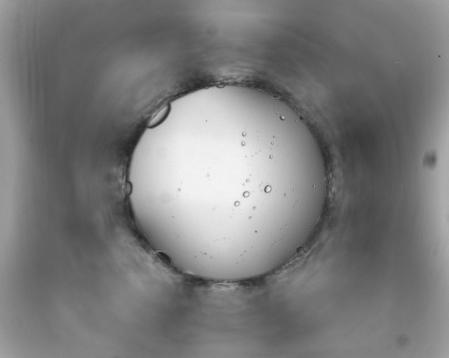 X0000092080666200709121107