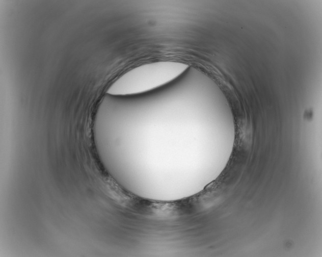 X0000092080667200709121107