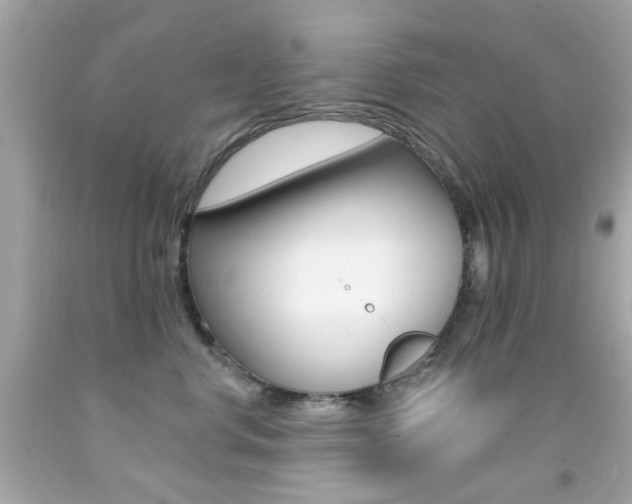 X0000092080668200709121107