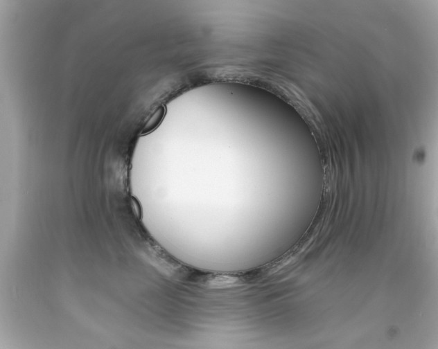 X0000092080669200709121107