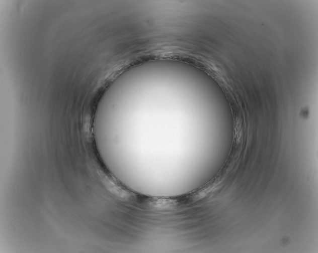 X0000092080670200709121107