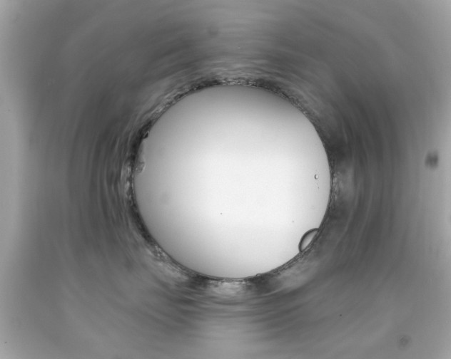 X0000092080671200709121107