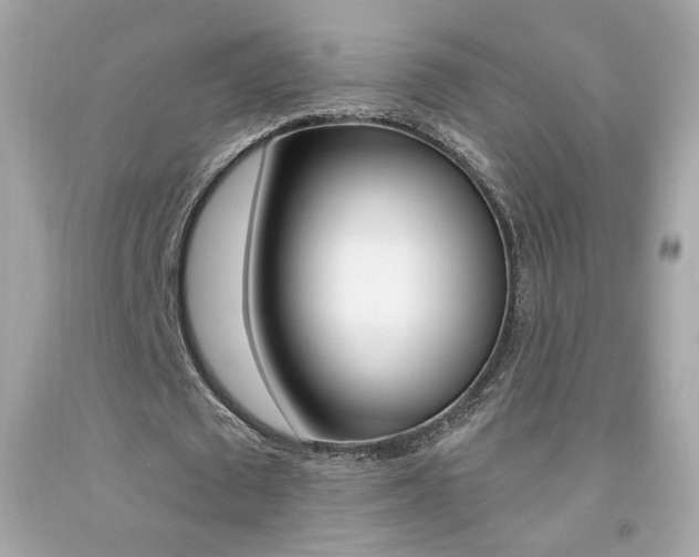 X0000092080673200709121106