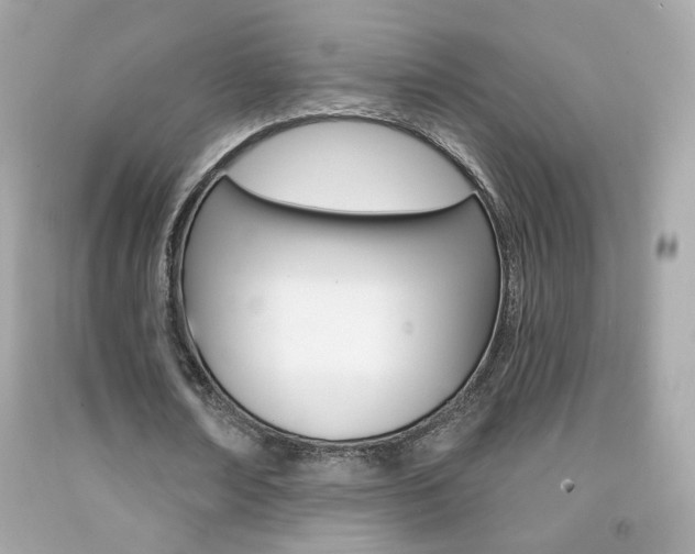 X0000092080674200709121106