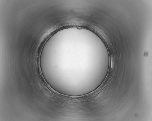 X0000092080675200709121106