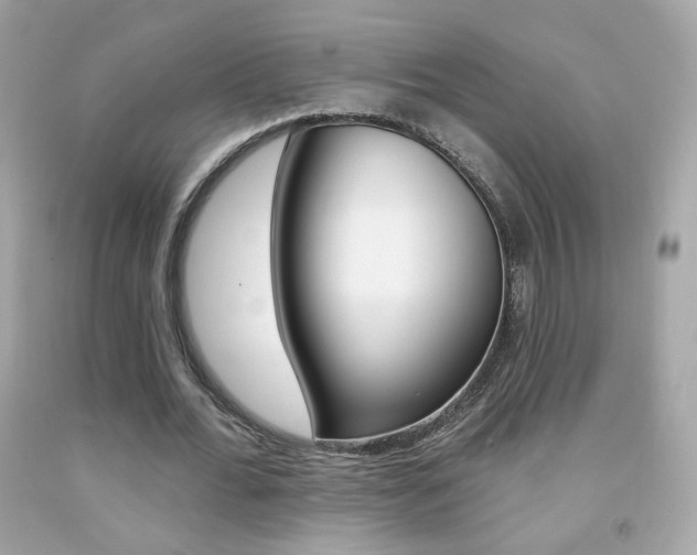 X0000092080676200709121106
