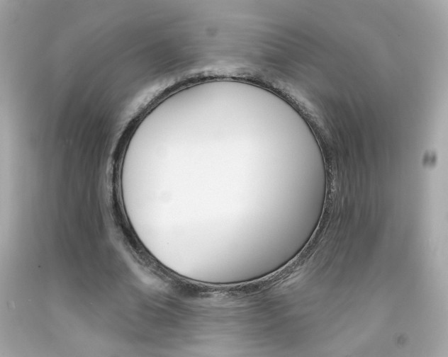 X0000092080678200709121106