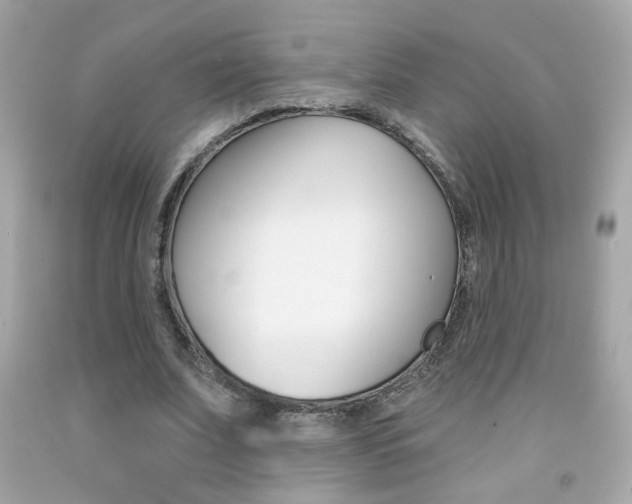 X0000092080679200709121106