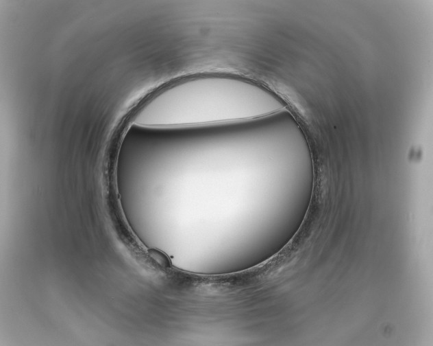 X0000092080680200709121106