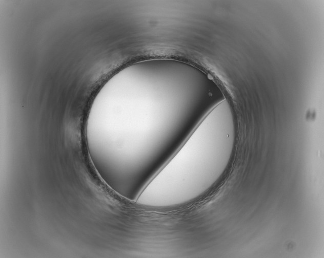 X0000092080681200709121106