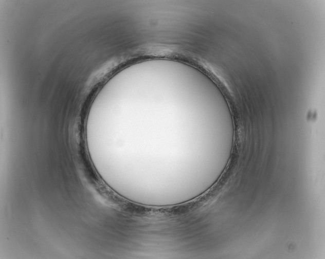 X0000092080682200709121106