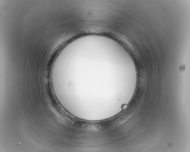 X0000092080683200709121106