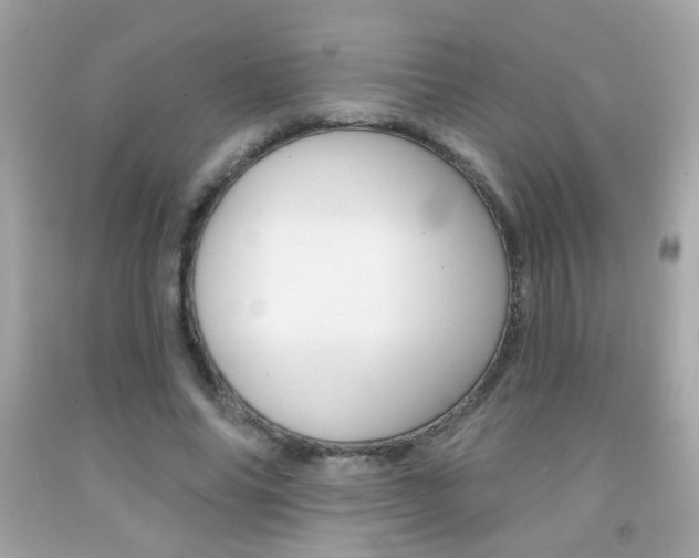 X0000092080686200709121106