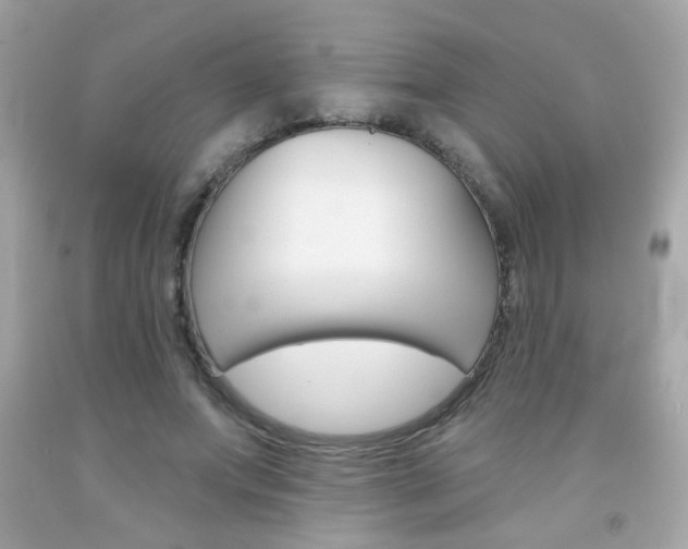 X0000092080687200709121106