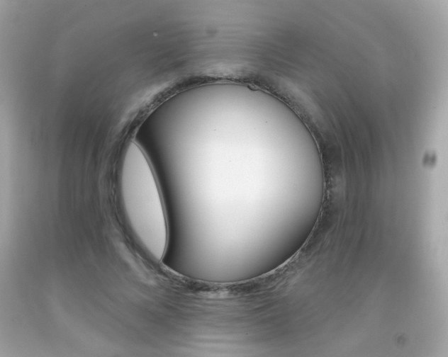 X0000092080688200709121106