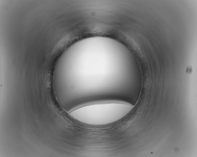 X0000092080689200709121106